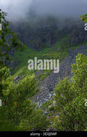 Spectaculaire vallée montagneuse brumeuse des Lofoten avec des pics rocheux abrupts entourés de brouillard, des pentes verdoyantes et une végétation alpine Banque D'Images