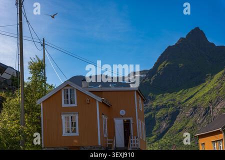 Charmante maison en bois brun avec garniture blanche nichée dans la vallée des îles Lofoten. Des montagnes vertes spectaculaires s'élèvent derrière le nordique traditionnel Banque D'Images