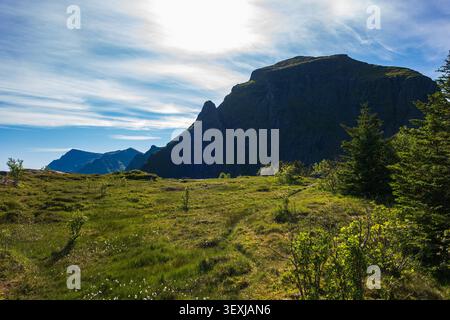 Paysage montagneux spectaculaire dans les Lofoten, Norvège, avec d'imposants sommets sombres au-dessus d'une vallée verdoyante avec une végétation clairsemée et alpine Banque D'Images