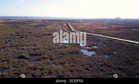 Une vue aérienne capture une longue promenade en bois traversant le paysage de marais bruns tentaculaire et texturé. Une lumière naturelle douce illumine t Banque D'Images