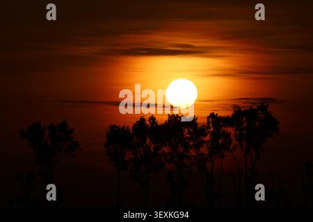 Grand coucher de soleil brillant dans un ciel orange vif avec des nuages sinueux au-dessus des arbres silhouettés au crépuscule, paysage de coucher de soleil spectaculaire en Transylvanie, Roumanie. Banque D'Images
