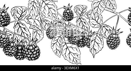 Illustration botanique de framboise de style gravure noir et blanc montrant des baies et des feuilles détaillées. Parfait pour la conception alimentaire, les produits de beauté, statio Banque D'Images