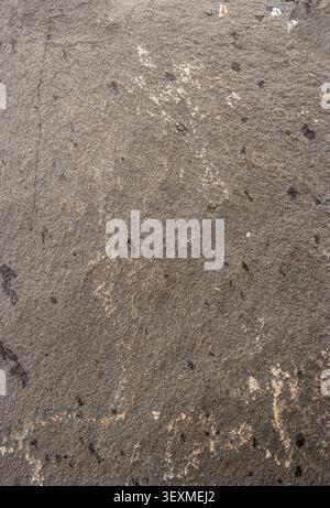 Une surface grise de pierre de basalte fortement texturée montre un motif granulaire rugueux avec des taches sombres dispersées d'eau et des taches de dépôts minéraux plus clairs Banque D'Images