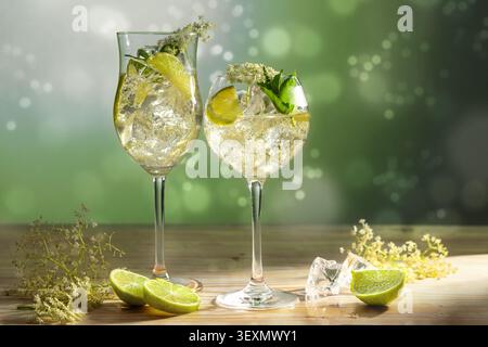 Apéritif Hugo en deux verres, avec Prosecco, fleur de sureau, sirop, eau pétillante, feuilles de menthe et tranches de citron, cocktail alcoolisé léger et frais dri Banque D'Images