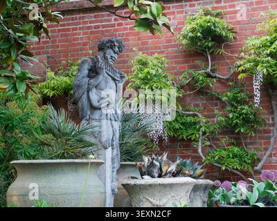 Statue de Pan aux RHS Wisley Gardens avec fond de glycine et mur de briques rouges RHS Wisley Gardens Surrey UK Banque D'Images