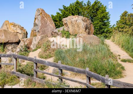 De gros rochers sont dispersés près d'un sentier sablonneux dans un parc. L'herbe et les petites plantes poussent autour des rochers. Les arbres sont visibles en arrière-plan sous un clair Banque D'Images