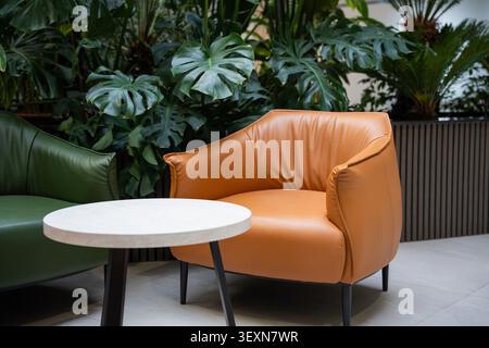 Salon de bureau moderne avec sièges confortables et plantes d'intérieur luxuriantes dans une salle d'attente contemporaine. Intérieur d'affaires et espace de coworking pour réunion Banque D'Images