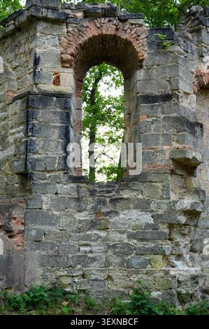 Ruines d'un château médiéval en République tchèque. Vue depuis la fenêtre sur la forêt. Banque D'Images