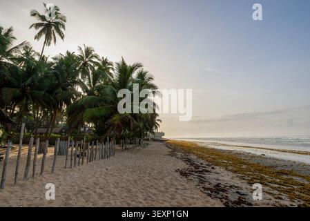 Plage bordée de palmiers au crépuscule avec un bateau de pêche, Axim Beach, Ghana Banque D'Images