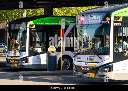 La grande station de bus de Lijn à côté de la gare de Genk sert de plaque tournante de transport en commun pour les services de bus régionaux et locaux à travers le Limbourg. Banque D'Images