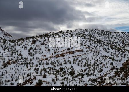 Les montagnes enneigées de l'Atlas s'élèvent au-dessus d'Ighrem N'Ougdal, au Maroc, avec des feuilles persistantes dispersées sur des pentes blanches sous des nuages d'hiver sombres. Banque D'Images