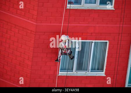 Grimpeur industriel effectuant des travaux de façade sur un immeuble de grande hauteur en brique rouge avec des cordes de sécurité. Photo de haute qualité Banque D'Images