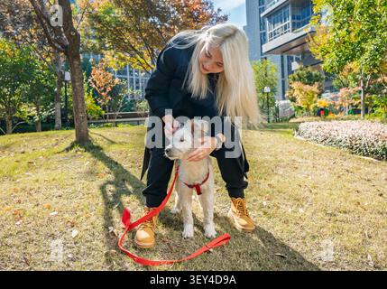Femme blonde caresse avec amour son petit chien moelleux lors d'une promenade d'automne ensoleillée dans un parc urbain Banque D'Images