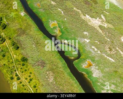 Vue aérienne de la rivière sinueuse et des zones humides verdoyantes du parc national de Divjake-Karavasta à Divjake, comté de fier, Albanie. Banque D'Images