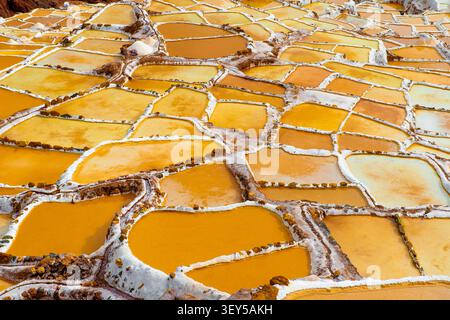 Les terrasses de sel de Maras brillent un jour ensoleillé au Pérou Banque D'Images