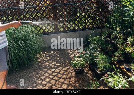 Arrosage des plantes en pot le long d'une clôture en treillis en bois dans un jardin résidentiel avec surface en gravier et pulvérisation de lumière du jour Banque D'Images