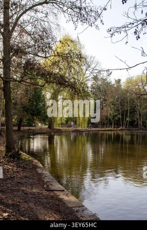 Le lac, Peckham Rye Park, Londres SE15, Royaume-Uni Banque D'Images