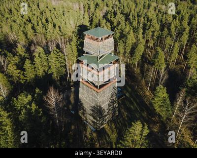 Vue aérienne de la tour d'observation en bois du parc naturel de Tervete s'élevant au-dessus de la dense forêt de pins à Tervete, municipalité de Dobele, Lettonie. Banque D'Images