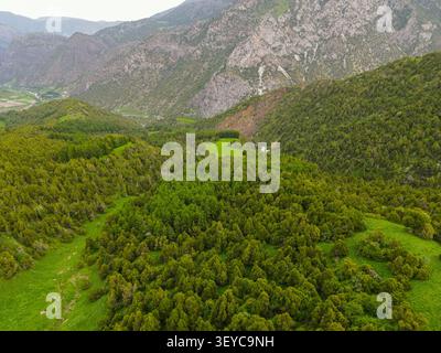 Vue panoramique aérienne des collines verdoyantes et verdoyantes et des vallées profondes couvertes de forêts épaisses et de pâturages Banque D'Images