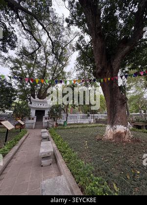 Cour traditionnelle vietnamienne avec drapeaux triangulaires colorés enfilés entre des arbres anciens, autel blanc et déta architecturale ornée Banque D'Images
