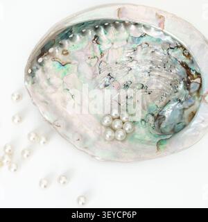 Gros plan macro vertical en coquille d'ormeaux avec des perles de mer blanches isolées sur un modèle de fond blanc propre Banque D'Images