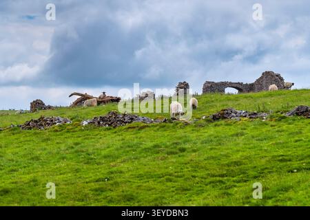 Pâturage de moutons près de Hurdlow Barn, Castleton, Derbyshire, GB Banque D'Images
