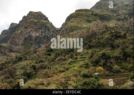 Montagnes escarpées avec terrasses agricoles à Serra de Água, Madère Banque D'Images