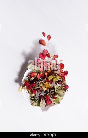 Fond élégant d'automne avec des baies rouges séchées et des feuilles rose hanche dans un bol de feuilles au soleil avec ombre sur un panneau de bois blanc de lumière douce, vue de dessus. Banque D'Images