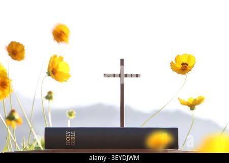 La croix de Jésus-Christ et la sainte Bible, de belles fleurs, et un fond de culte et de prière. Banque D'Images