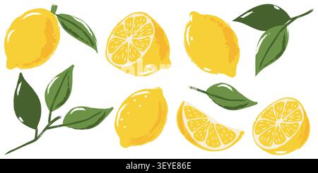 Ensemble de fruits de citron aquarelle vectorielle. Illustration citrons jaunes dessinée à la main d'agrumes. Éléments de conception isolés vintage tendance avec fruits entiers, tranches et Illustration de Vecteur