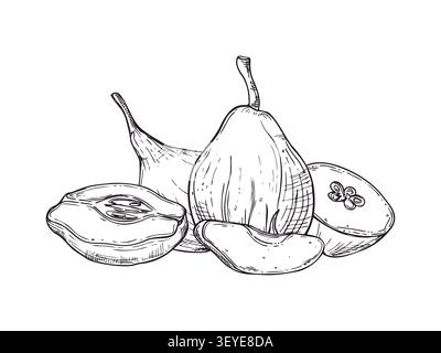Illustration à l'encre de ligne de fruit de coing et de moitiés tranchées. Fruits entiers monochromes dessinés à la main avec croquis graphique de tranches. Des éléments sains frais Illustration de Vecteur