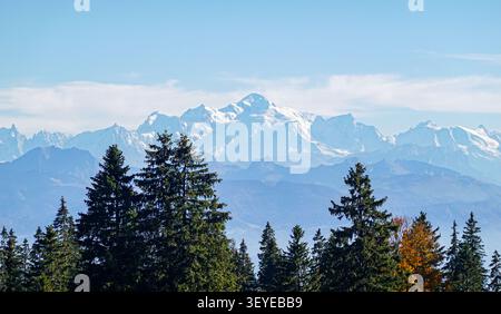 Sommet du Mont Blanc s'élevant au-dessus de la forêt alpine d'automne Banque D'Images