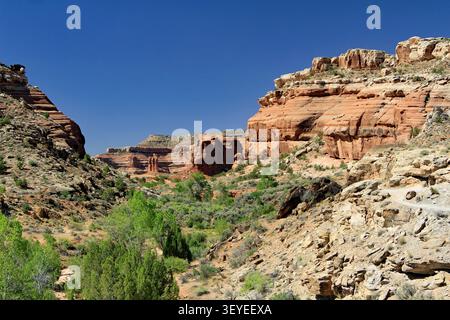 Mill Canyon Dinosaur Trail randonnée Moab Utah Banque D'Images