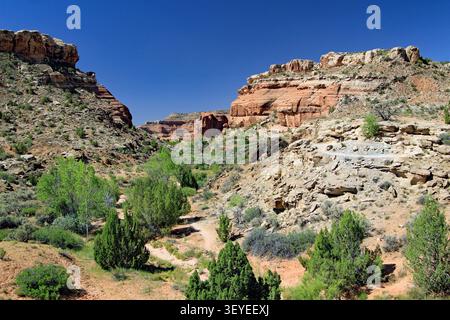 Mill Canyon Dinosaur Trail randonnée Moab Utah Banque D'Images