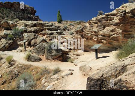 Mill Canyon Dinosaur Trail randonnée Moab Utah Banque D'Images