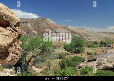 Mill Canyon Dinosaur Trail randonnée Moab Utah Banque D'Images