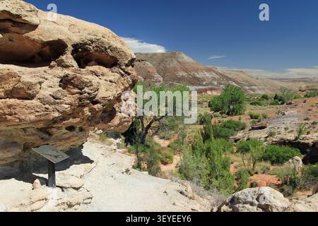 Mill Canyon Dinosaur Trail randonnée Moab Utah Banque D'Images