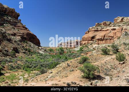 Mill Canyon Dinosaur Trail randonnée Moab Utah Banque D'Images