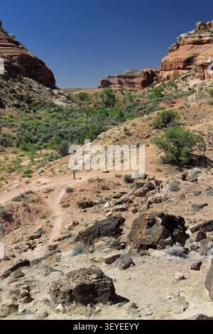 Mill Canyon Dinosaur Trail randonnée Moab Utah Banque D'Images