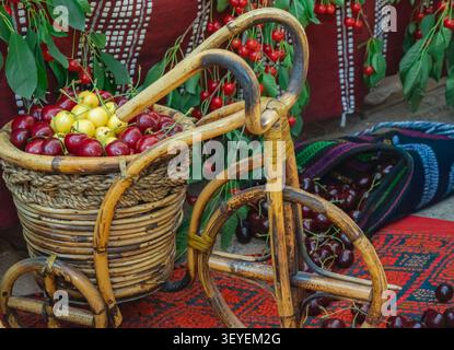 Vélo décoratif en osier tenant un panier de cerises douces mûres avec des textiles traditionnels et des branches de cerises suspendues, célébrant la récolte d'été, l Banque D'Images