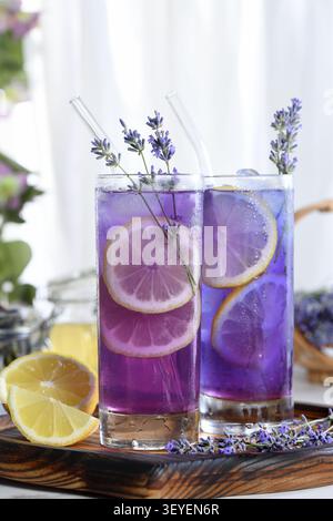 Vue de face de deux grands verres highball remplis de limonade de lavande violette éclatante et de glace, décorés de tranches de citron frais et de brins de lavande Banque D'Images