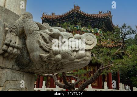 Une sculpture de dragon en pierre se dresse devant un pavillon chinois traditionnel dans le parc de Jingshan près de la Cité interdite. Banque D'Images