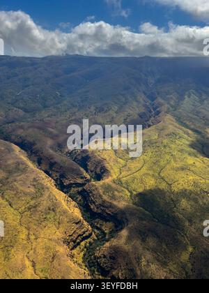 Une vue aérienne révèle une gorge de rivière coupant des montagnes de Molokai, serpentant à travers des vallées vertes abruptes vers les plaines côtières inférieures - Molo Banque D'Images