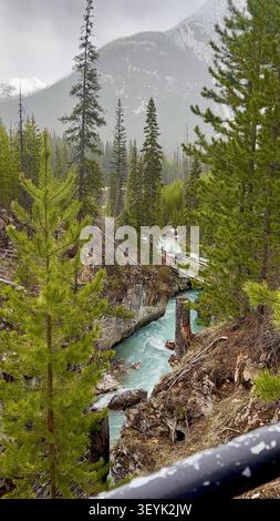 L'eau jaillit à travers les parois profondes et étroites du Marble Canyon, creusé dans une roche ancienne, dans le parc national de Kootenay, en Colombie-Britannique, Canada. Banque D'Images