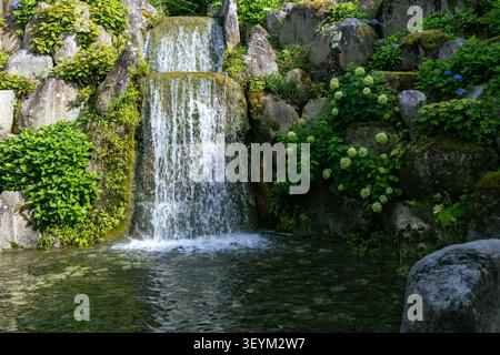 Une petite cascade coule sur des rochers couverts de mousse dans un bassin calme d'un jardin japonais en été, avec des buissons d'hortensias blancs et bleus poussant sur la rive droite. Banque D'Images