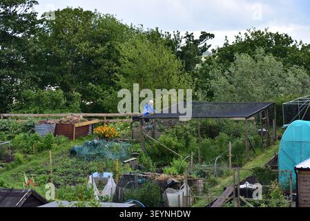 Lotissement jardins Berwick upon Tweed Banque D'Images