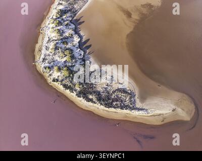 Vue aérienne du lac Tyrrell avec son eau salée rose caractéristique et une broche sablonneuse avec une végétation clairsemée dans Buloke Shire, Victoria, Australie. Banque D'Images