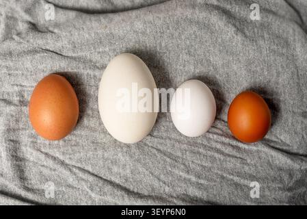 Gros plan d'œufs de canard mélangés et d'œufs de poule blancs et bruns sur un fond de tissu gris Banque D'Images