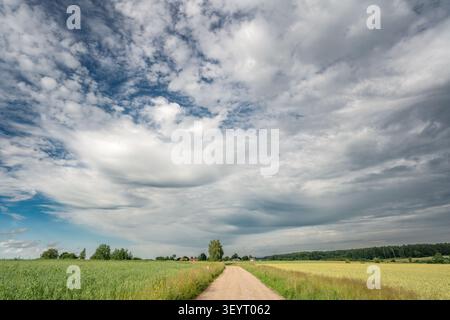 De vastes nuages dramatiques s'étendent dans le ciel au-dessus d'une route de terre rurale et de champs agricoles dans la campagne lituanienne. Le temps changeant Banque D'Images