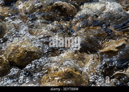gros plan d'eau de mer claire déferlant sur des rochers naturels le long d'une côte rocheuse méditerranéenne. La lumière du soleil met en valeur les pierres texturées et les douces vagues Banque D'Images